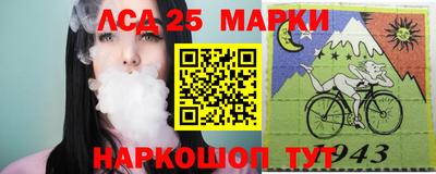 гидра Новозыбков
