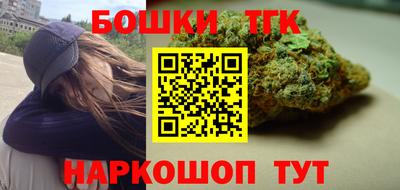 гидра Новозыбков