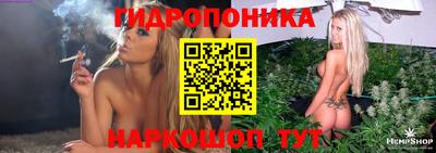 гидра Новозыбков