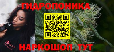 гидра Новозыбков