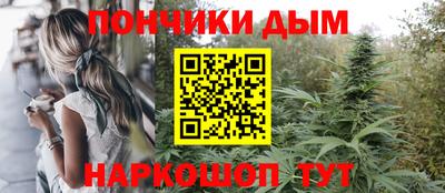 гидра Новозыбков