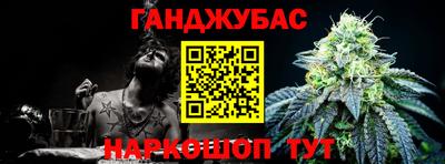 гидра Новозыбков