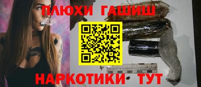 гидра Новозыбков