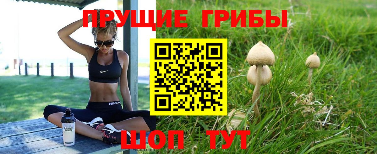 Галлюциногенные грибы прущие грибы Трёхгорный