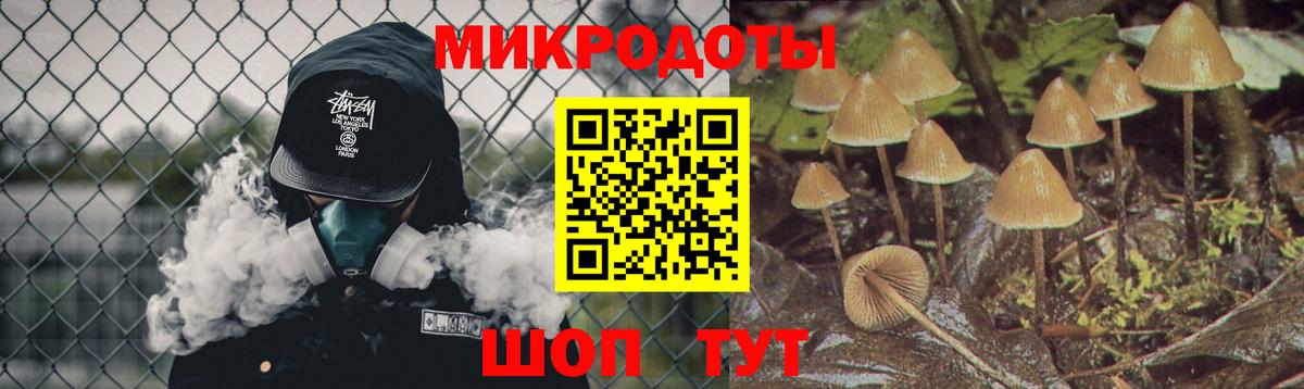 Галлюциногенные грибы MAGIC MUSHROOMS  Псилоцибиновые грибы Psilocybe  Вход с VPN  дарнет шоп  Трёхгорный 